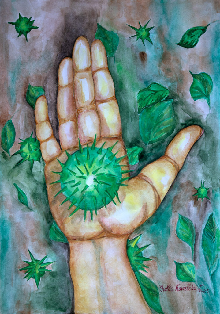 Chestnut. Multiplication of thorns
