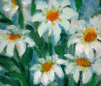 Chamomiles. Little suns in a vase