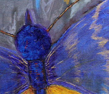 Butterfly on a pavement