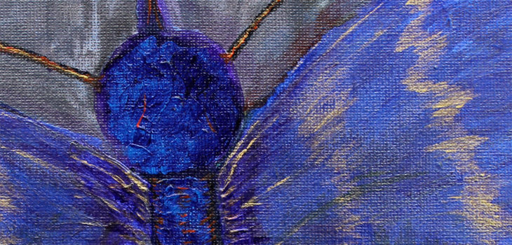 Butterfly on a pavement