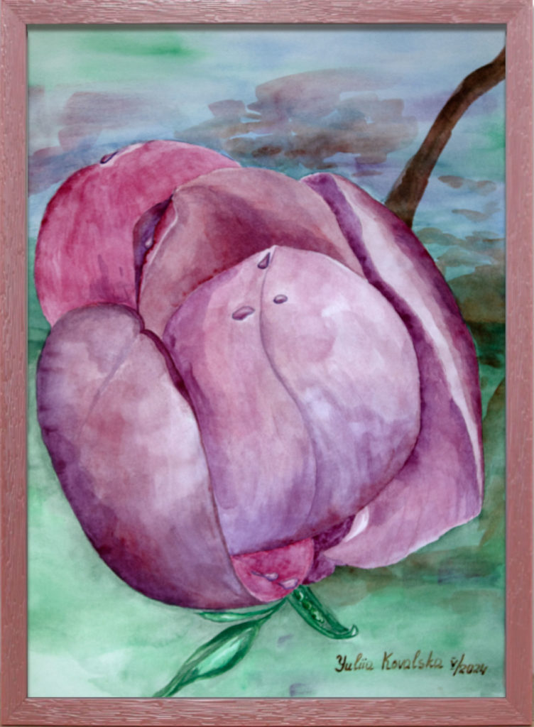 Magnolia flower. The whimsical curves of petals