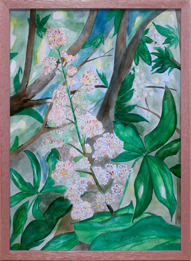 Flowering chestnut. The symbol of Kiev