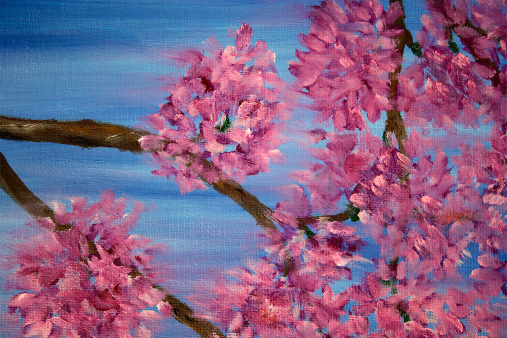 Sakura. The cherry blossom