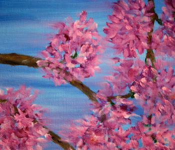 Sakura. The cherry blossom