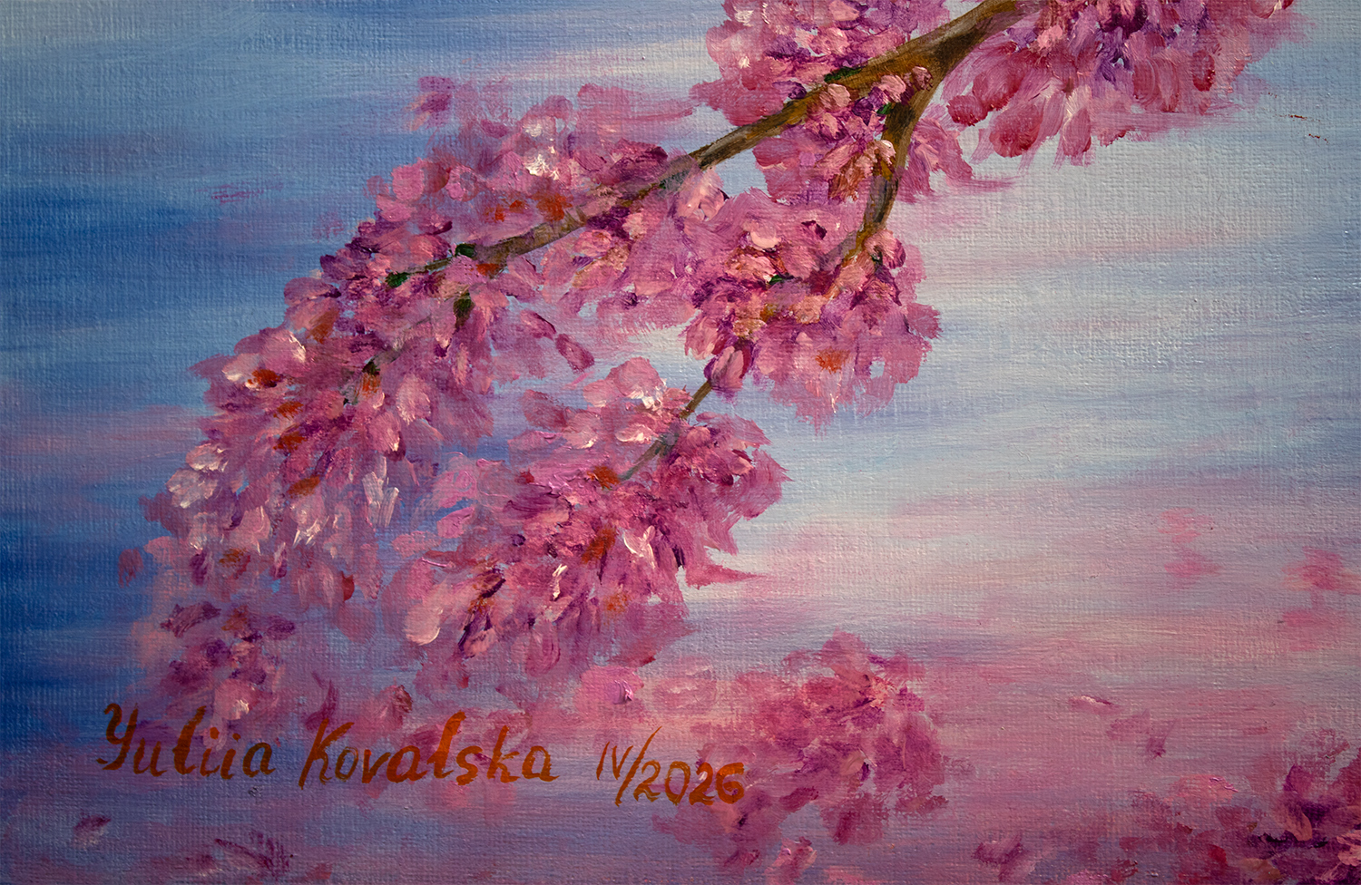 Sakura. The cherry blossom