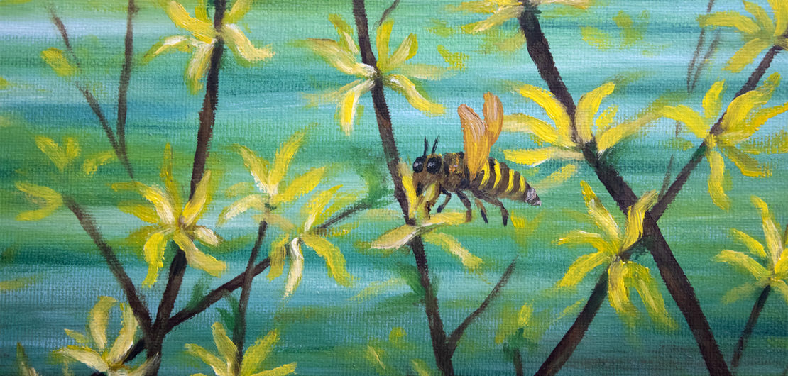 First honey. Spring flowers
