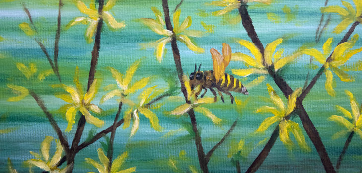 First honey. Spring flowers